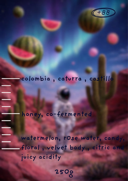 Outer Space